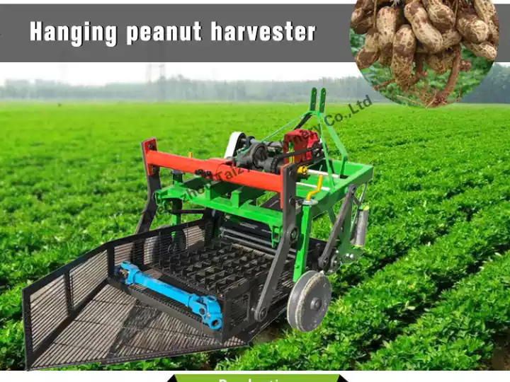 Peanut harvesting