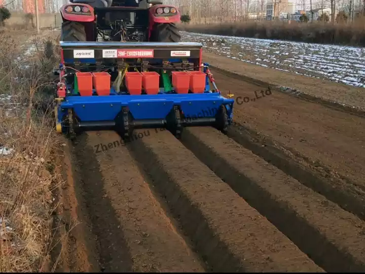 Six-row peanut seeder working
