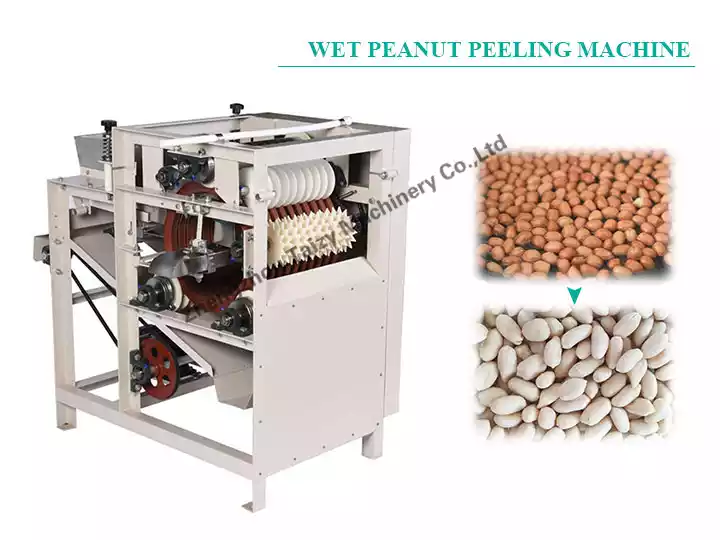 Wet peanut peeler machine