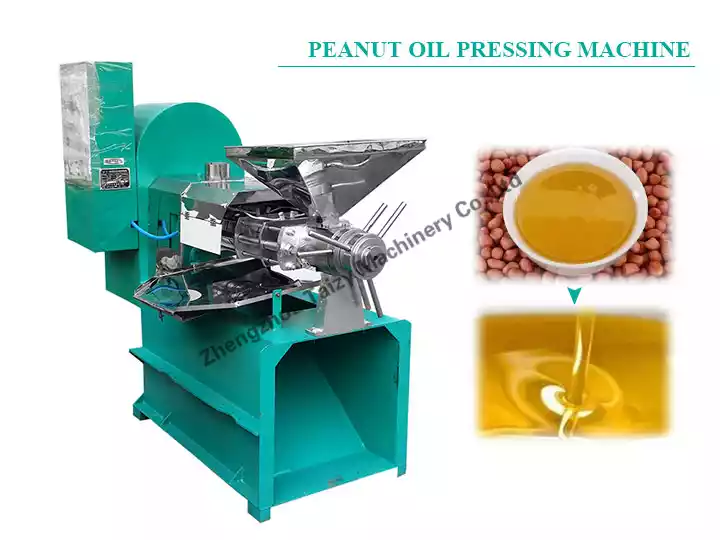 Máquina de prensa de aceite de maní de tornillo | máquina de extracción de aceite de maní