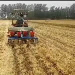 sembradora de maní de 4 hileras accionada por tractor